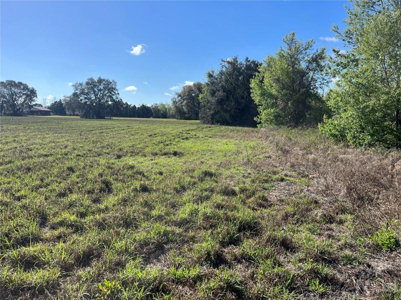 Lot view