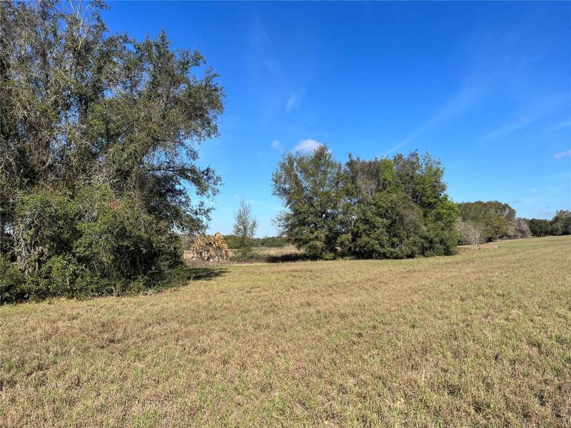Lot View