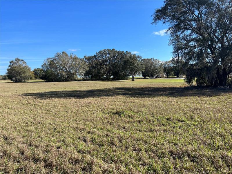 Lot view