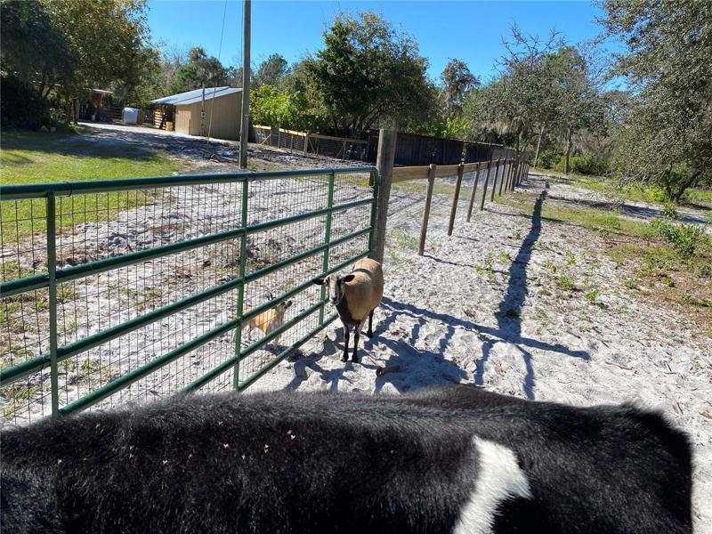 Pasture entrance