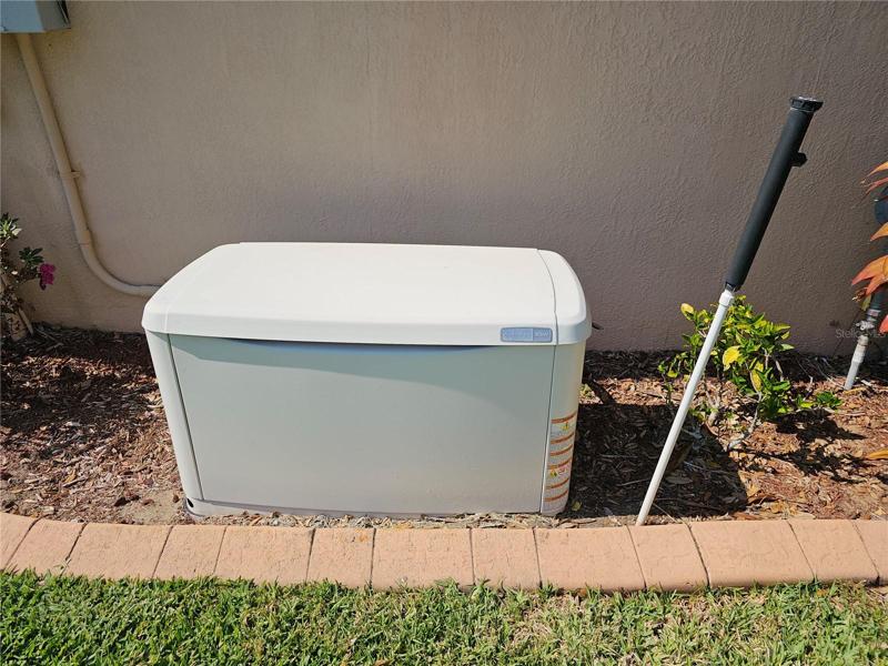 Natural Gas Generator
