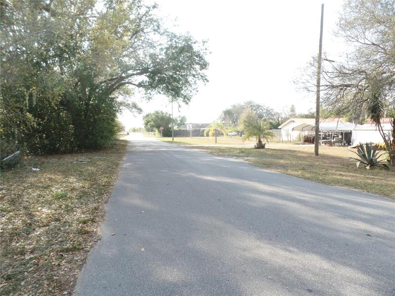 The street sees very little traffic - only a few homes here