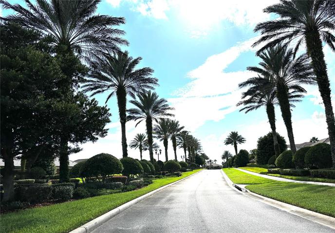 Community Blvd to Club House and Amenity Center