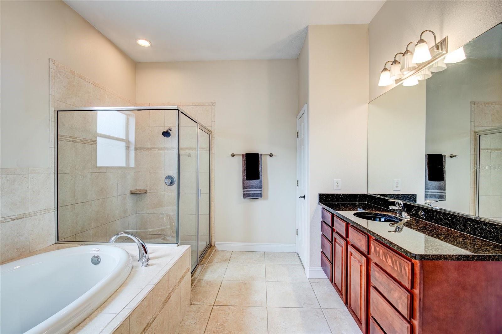 Great Cabinet and Counter Space