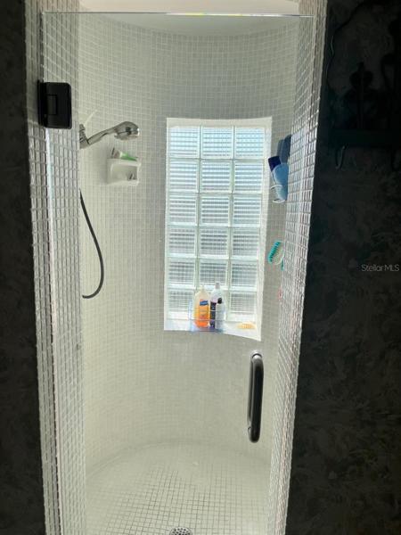 Master Shower 