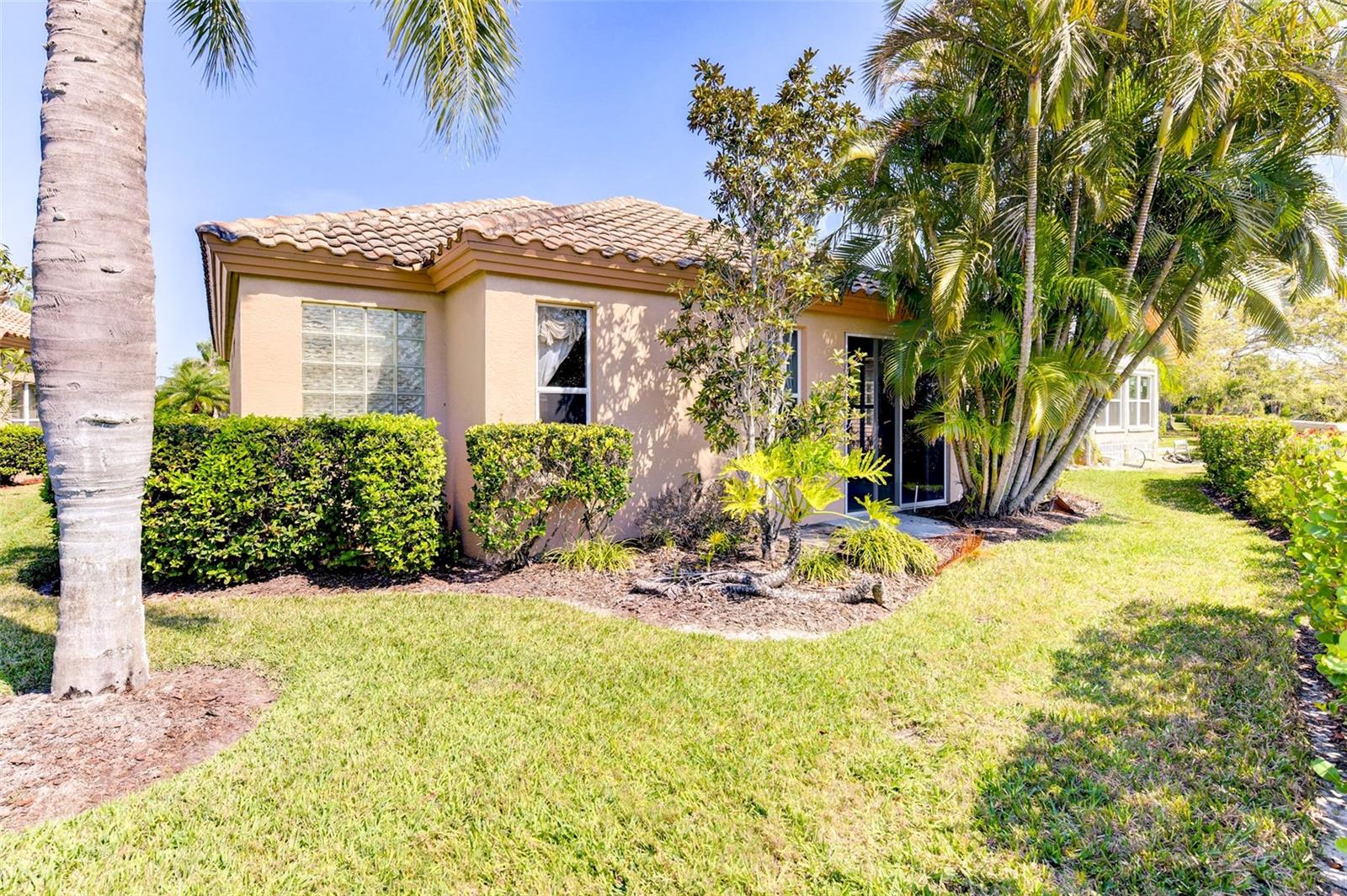 Mature tropical setting in the backyard