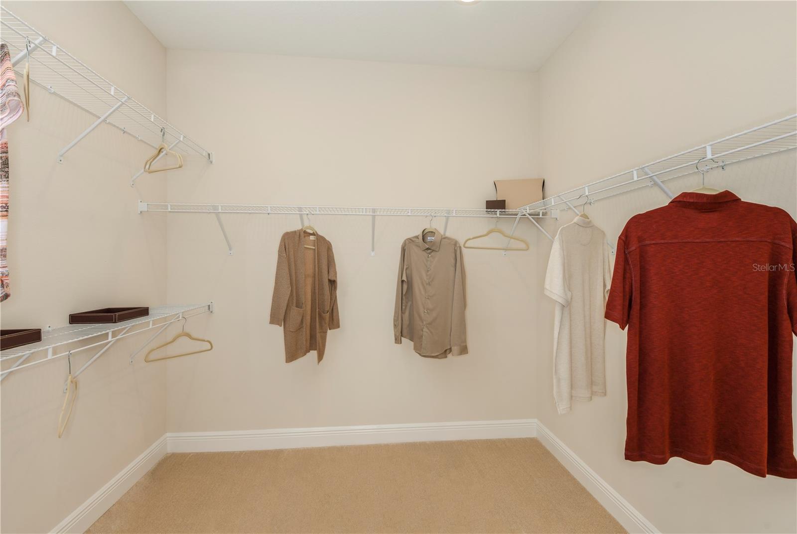 Model Owner's Closet