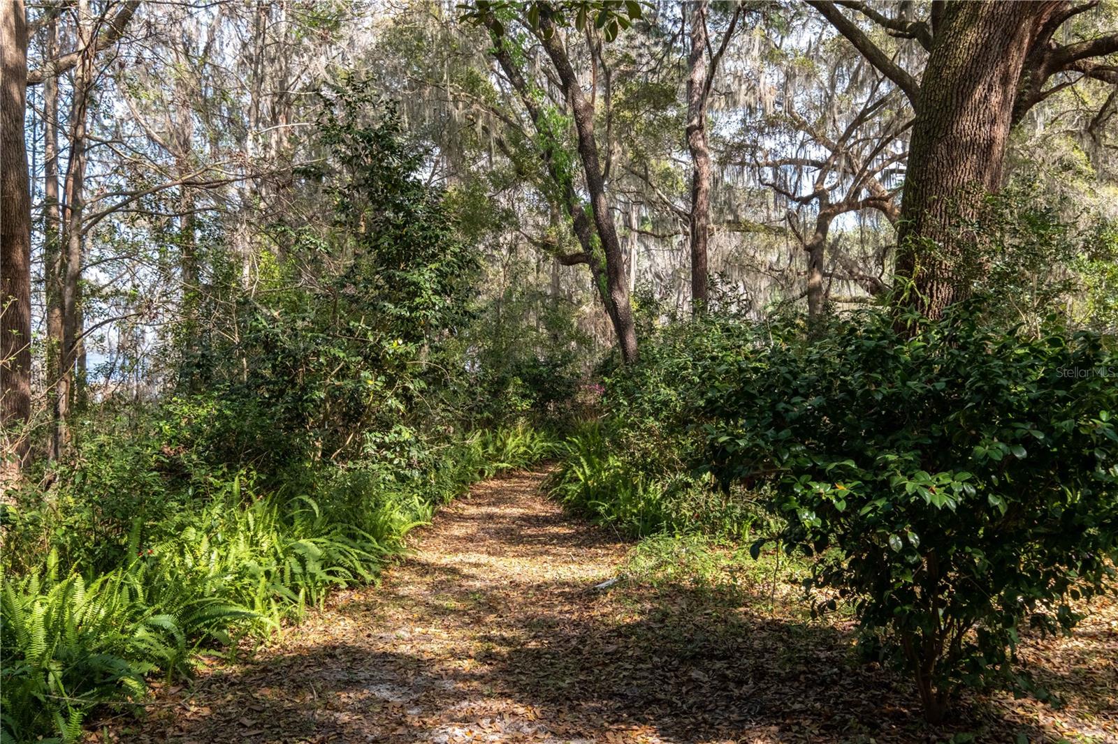 Peaceful walking paths through gardens