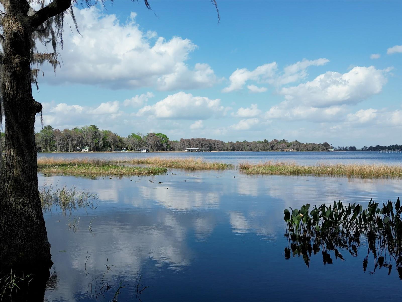 ENjoy the Lake views...