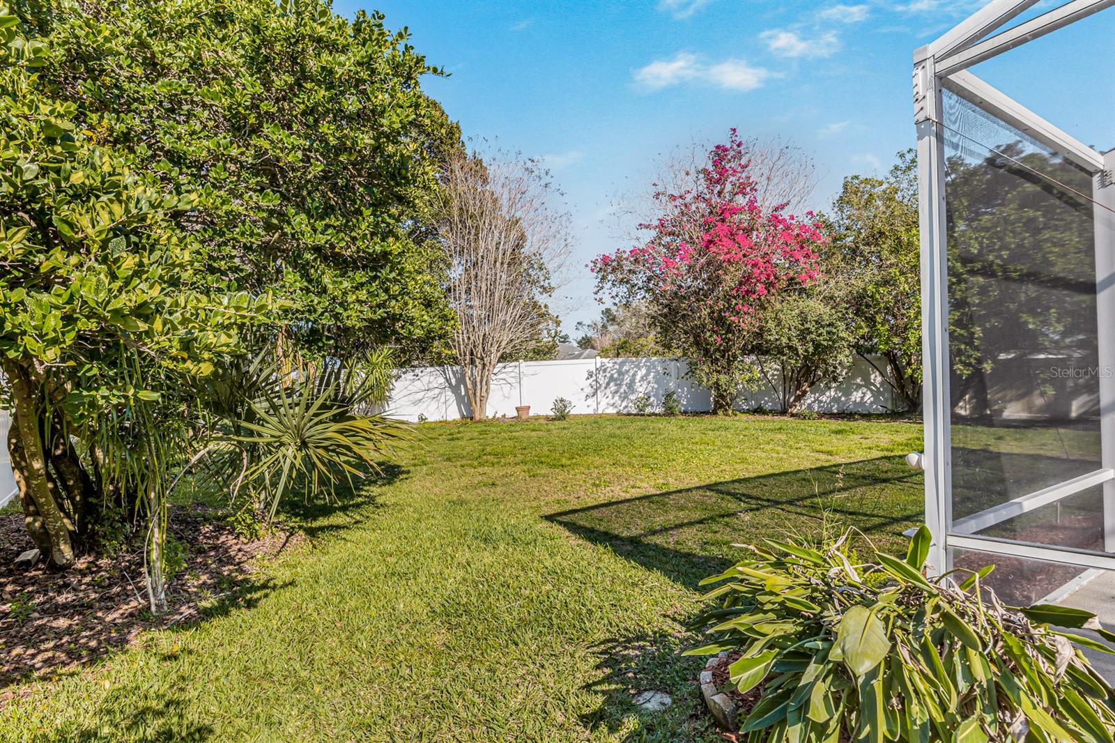 Fenced-in Back yard from the gate (left side)