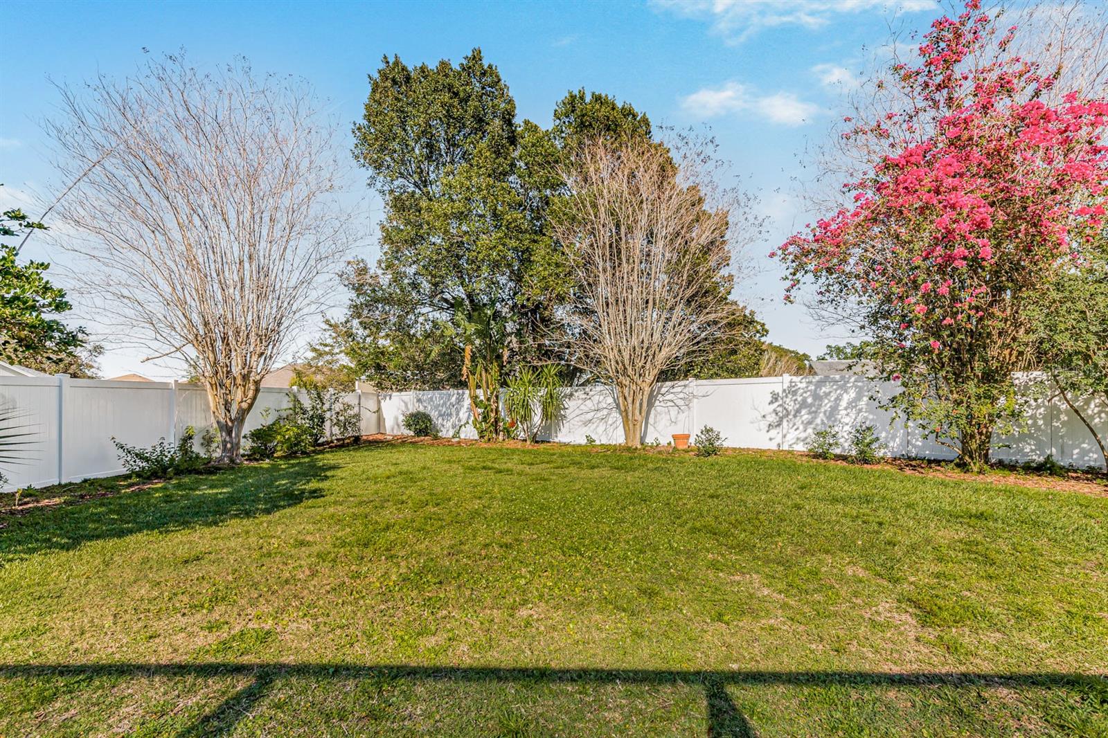 Fenced-in backyard