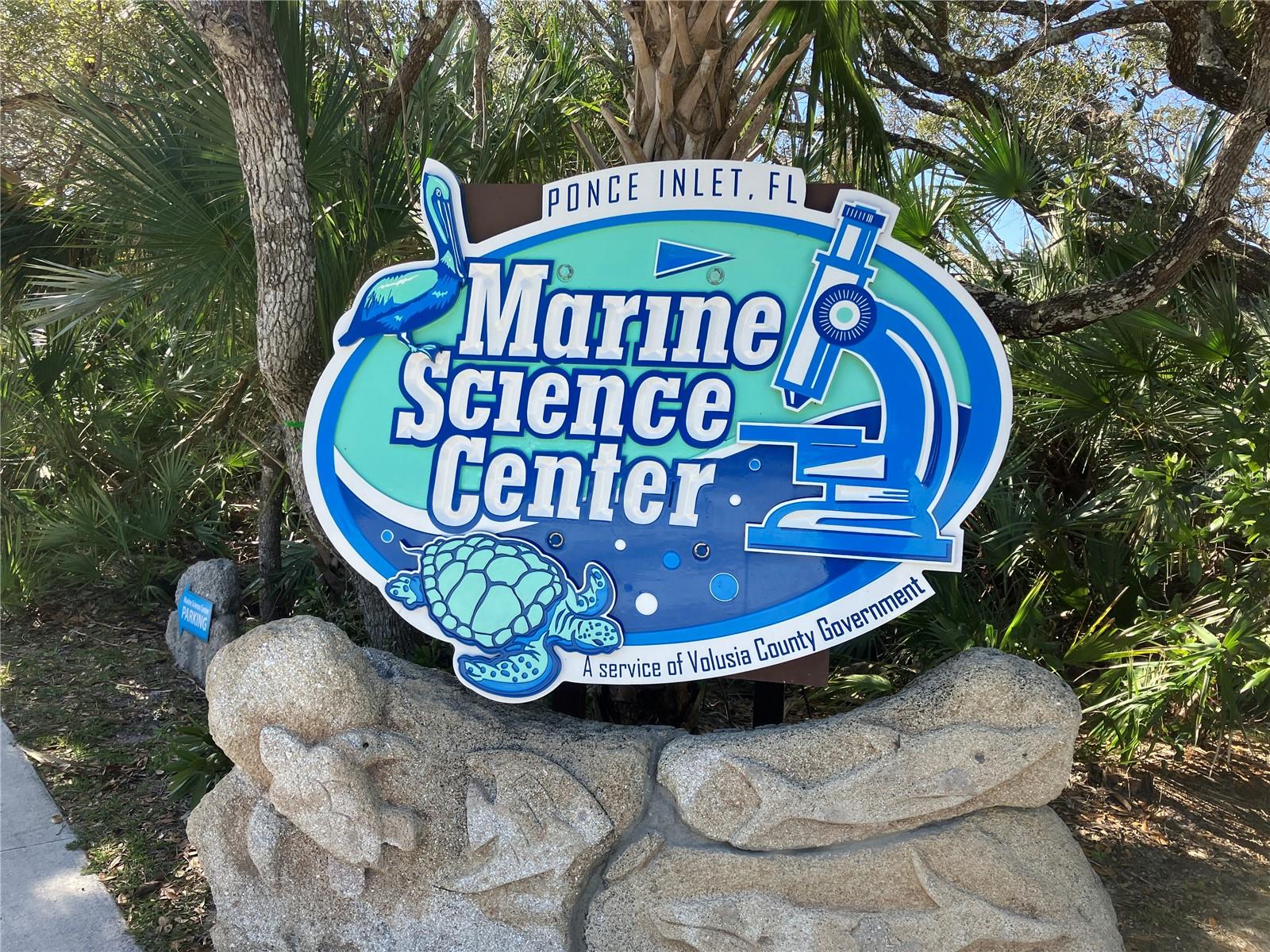 Ponce Inlet's own version of SeaWorld. Captivating for adults and children.