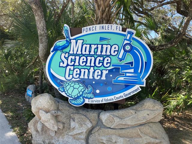 Ponce Inlet's own version of SeaWorld. Captivating for adults and children.