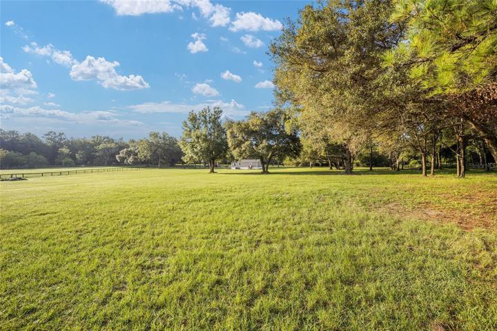 NICE TREES THROUGH OUT THE PROPERTY