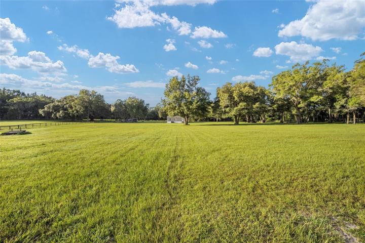 GREAT GRASS LAND