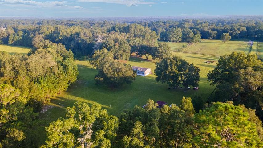 AERIAL OF HOME AND THE BEAUTIFUL TREES