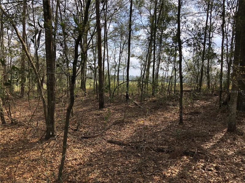 Adjacent fence line of property.