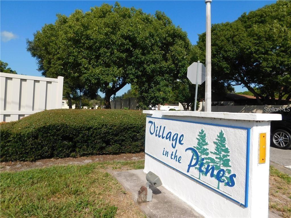 Village in the Pines