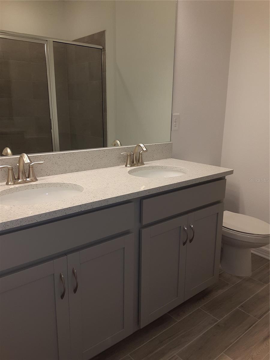 dual sinks