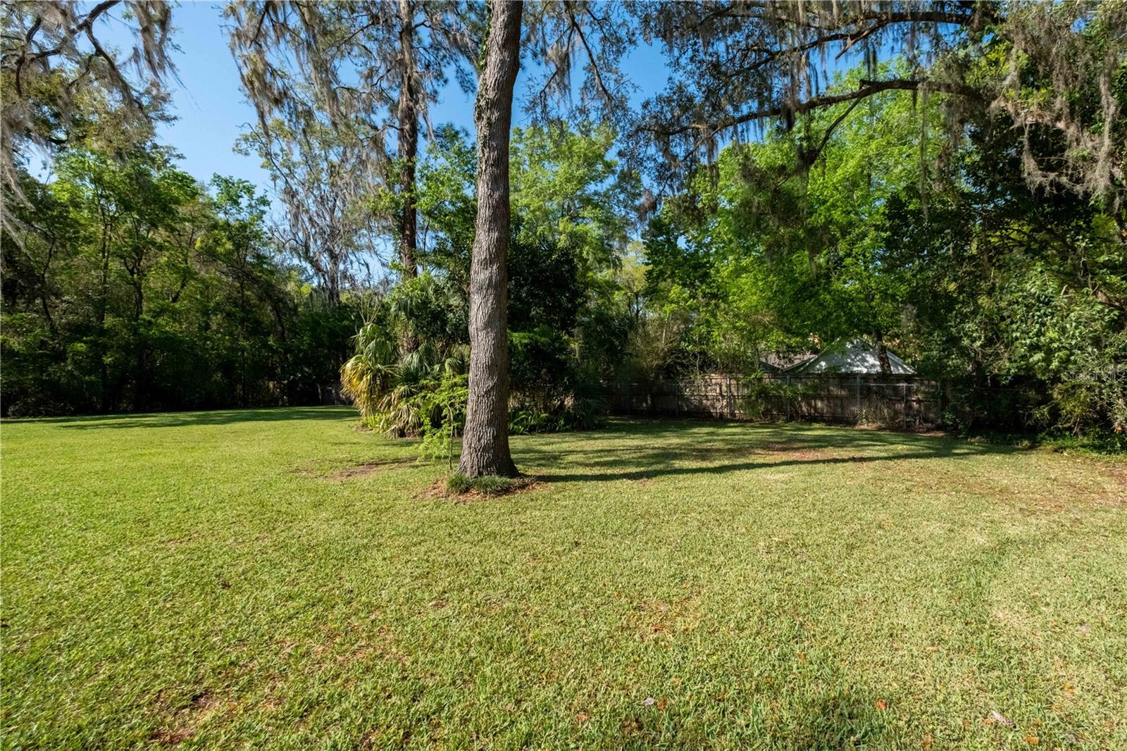 back yard