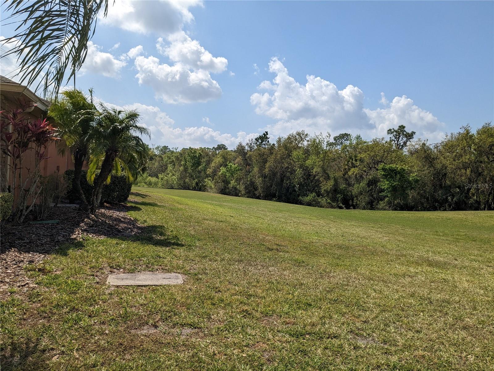 another yard view
