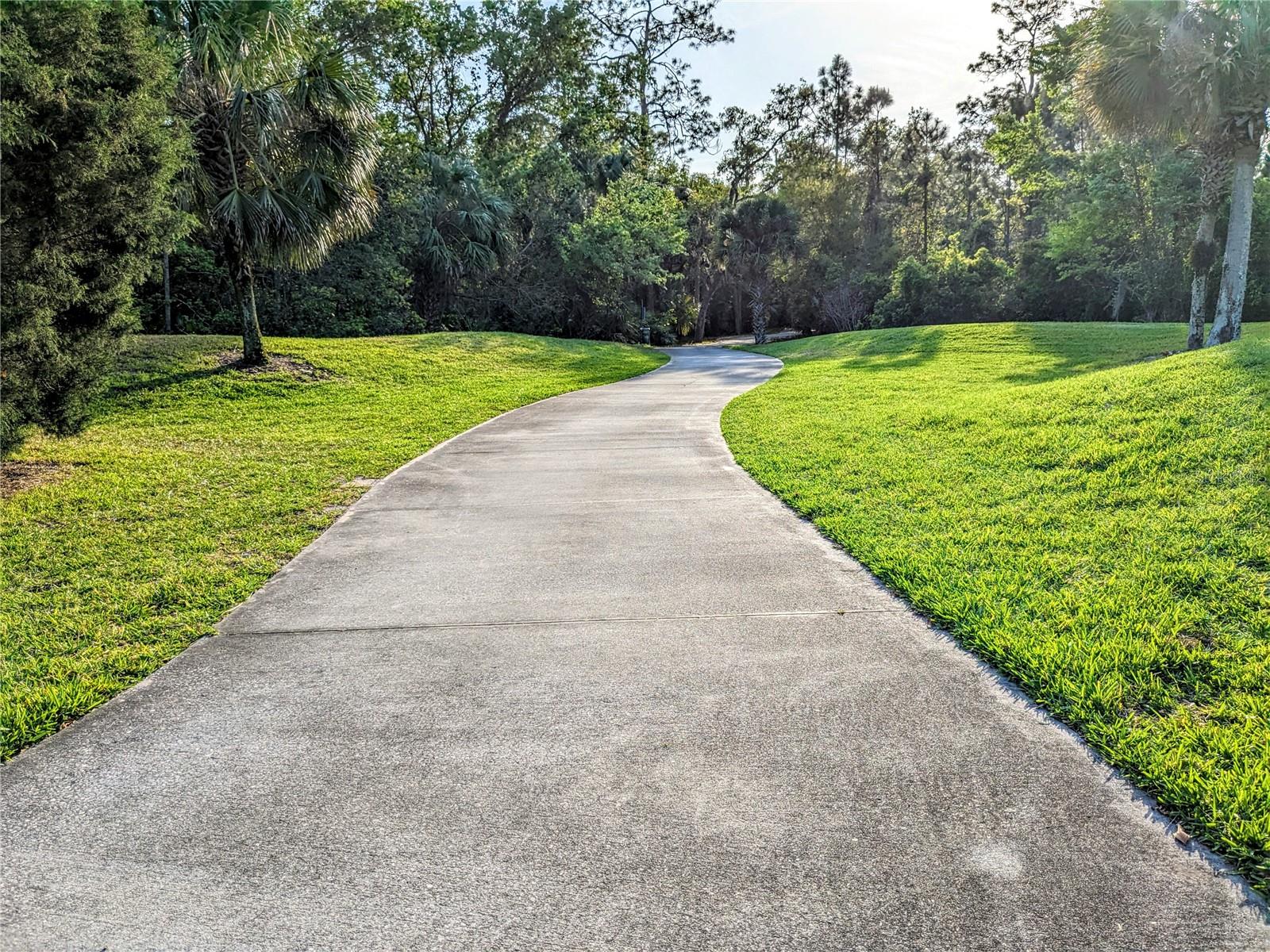 Beautiful walking paths right by the neighborhood pool