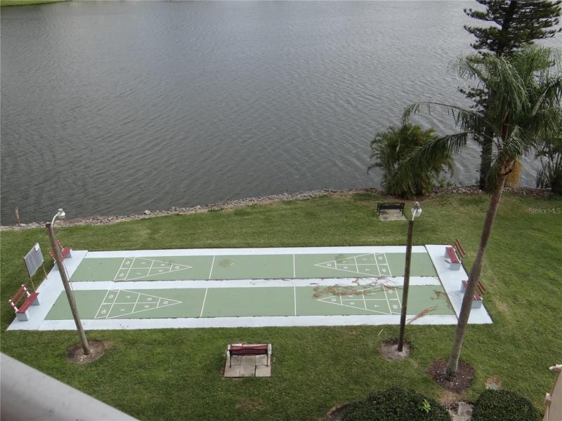 Shuffleboard