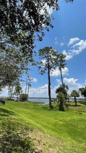 Trail Lake view