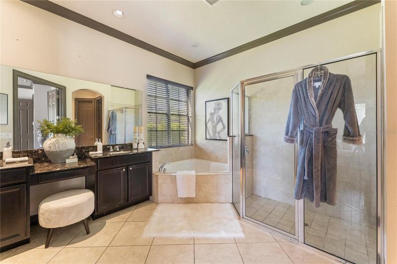Owner's bathroom