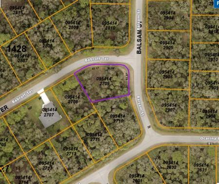 Oversize corner lot off Sumter Blvd