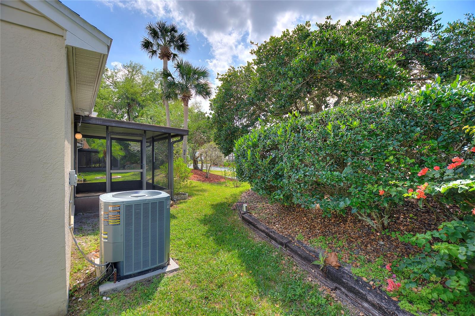 back yard