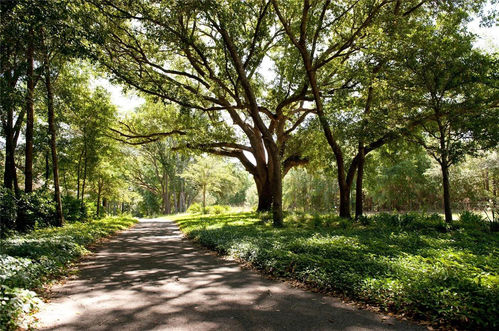 Newberry, Florida 32669, 0 , 0 ,0,Land,For Sale,9TH,0,GC511680