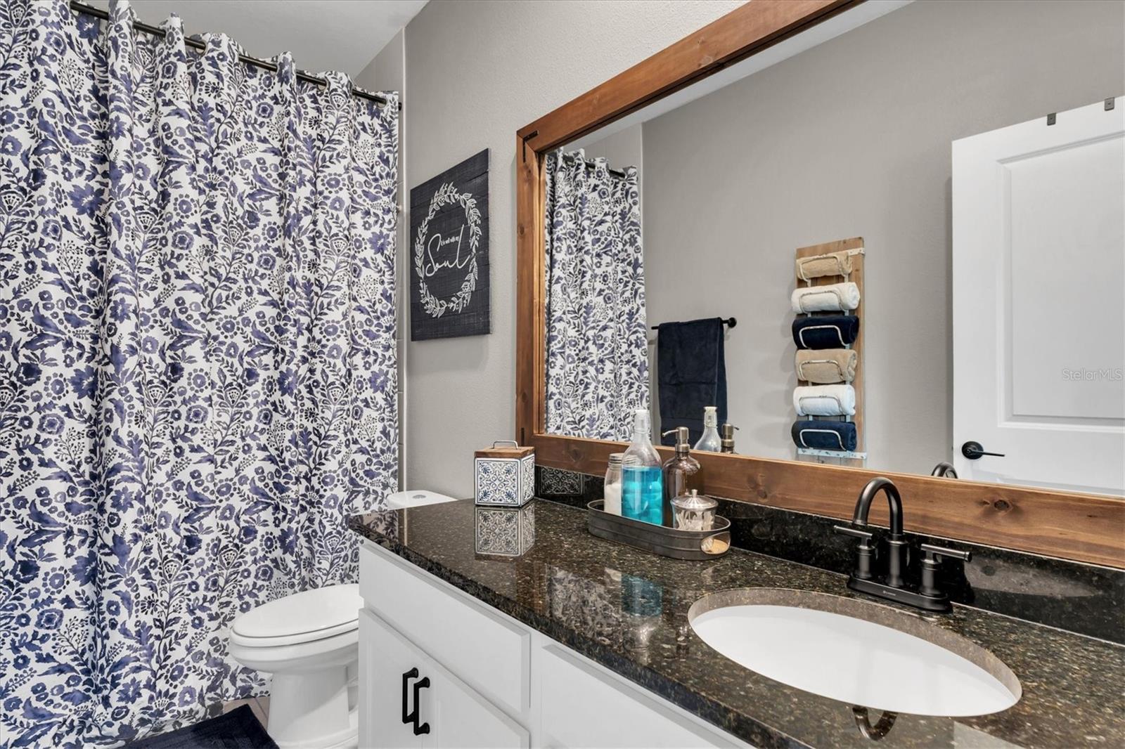 Upgraded Bathroom 2