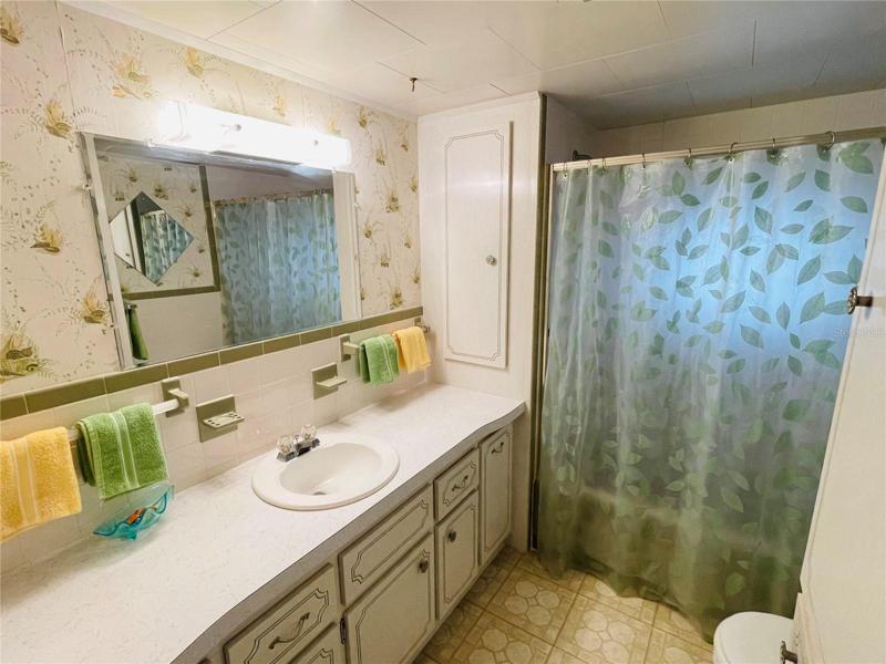 Hall bathroom, tub shower.