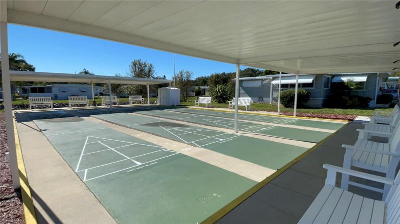 Shuffleboard