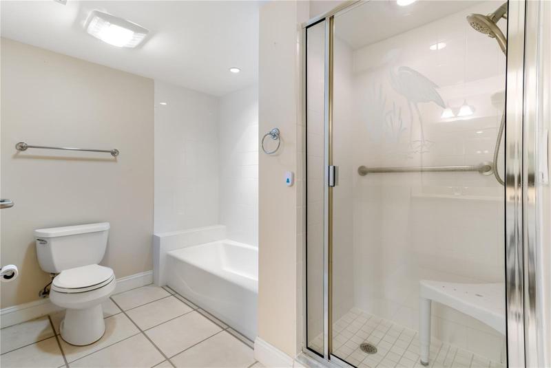 Master Tub &amp; Shower!