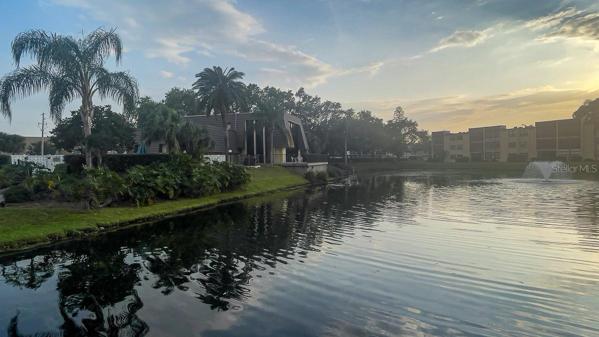 Clubhouse view