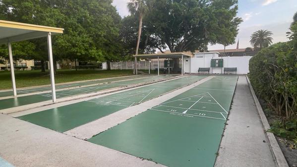 Enjoyable Shuffleboard Court