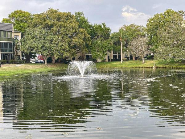 Water Fountain Lake areas
