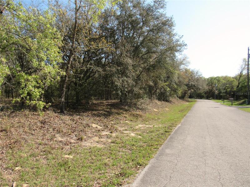 Gorgeous 1.05 Acre New Construction Build Site Or Hold for Investment. Located In an Established Community, The Forest of The Village of Rainbow Springs!