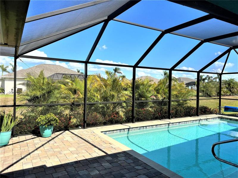 Privacy with new Areca Palms