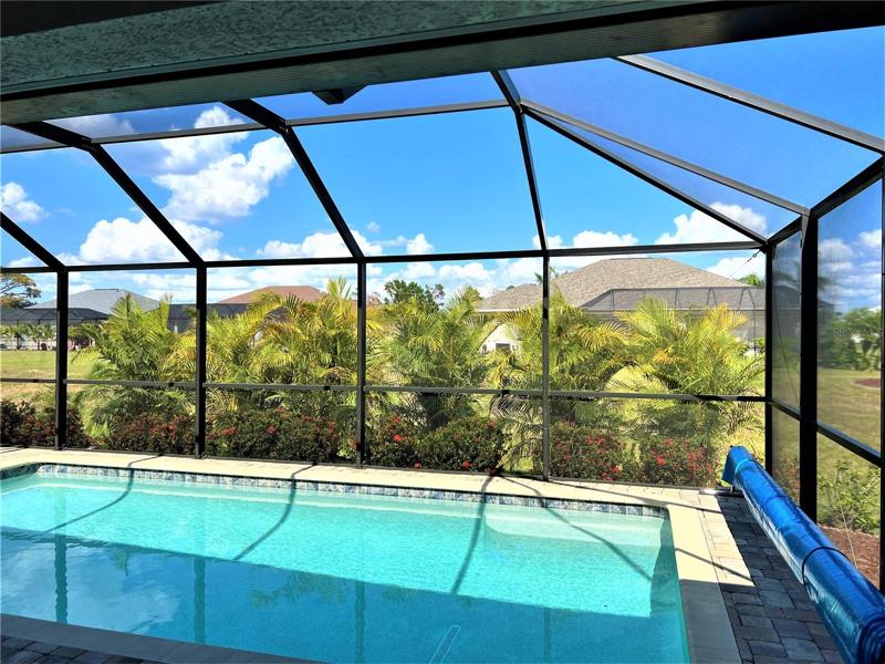 Privacy with new Areca Palms