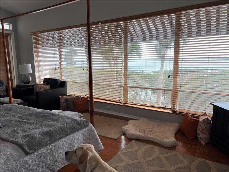 Master Bedroom wall of windows
