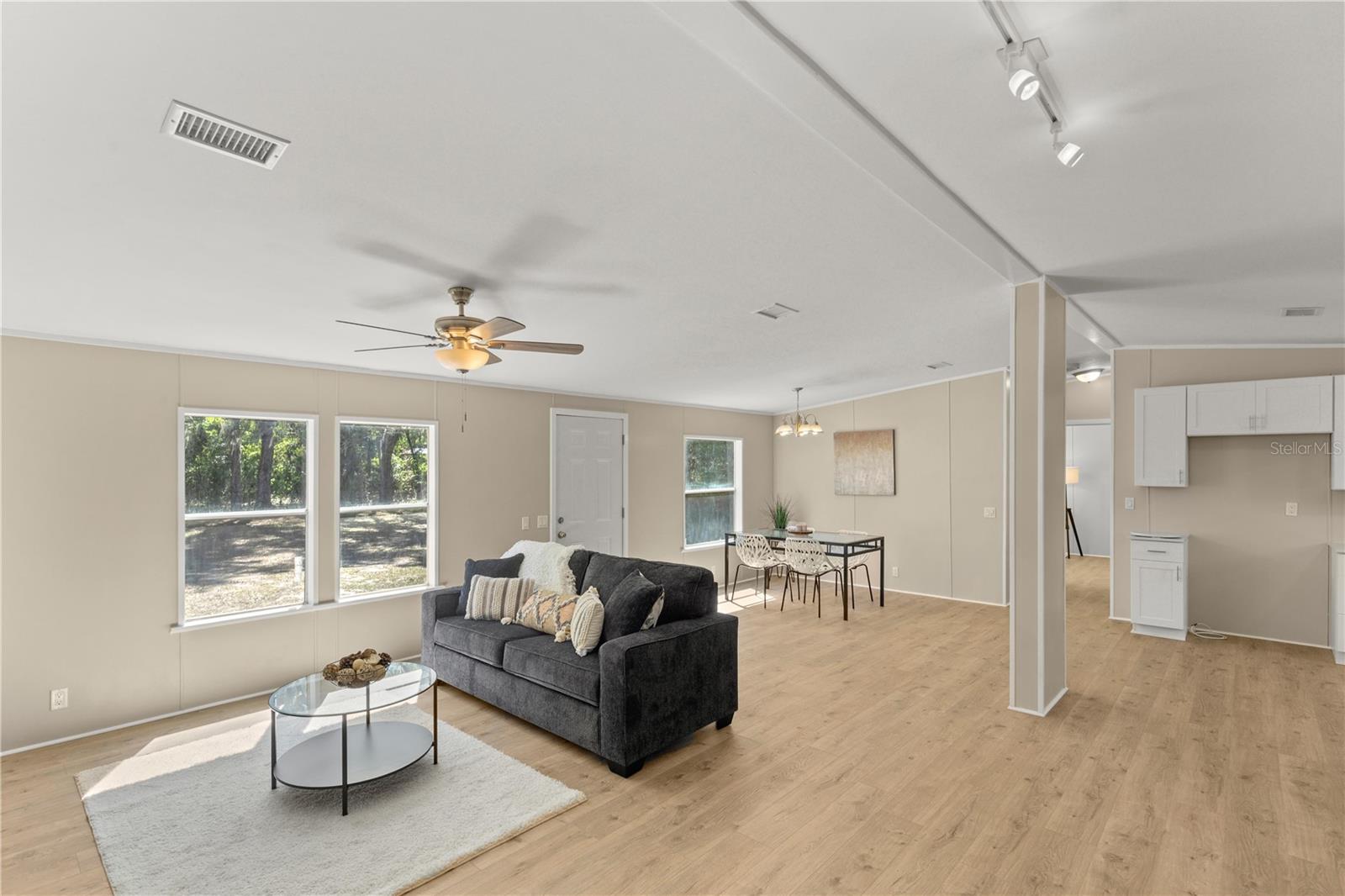 Living Room/Dining Room Combo