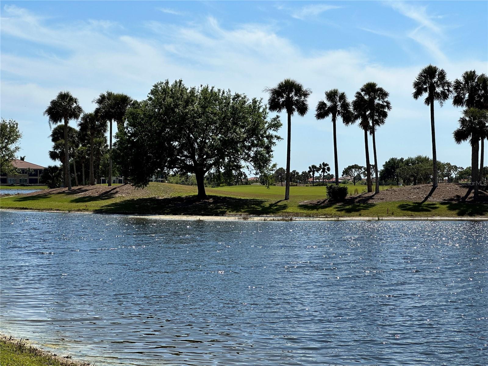 Florida landscaping. Palm trees and oaks guarding the 13 green