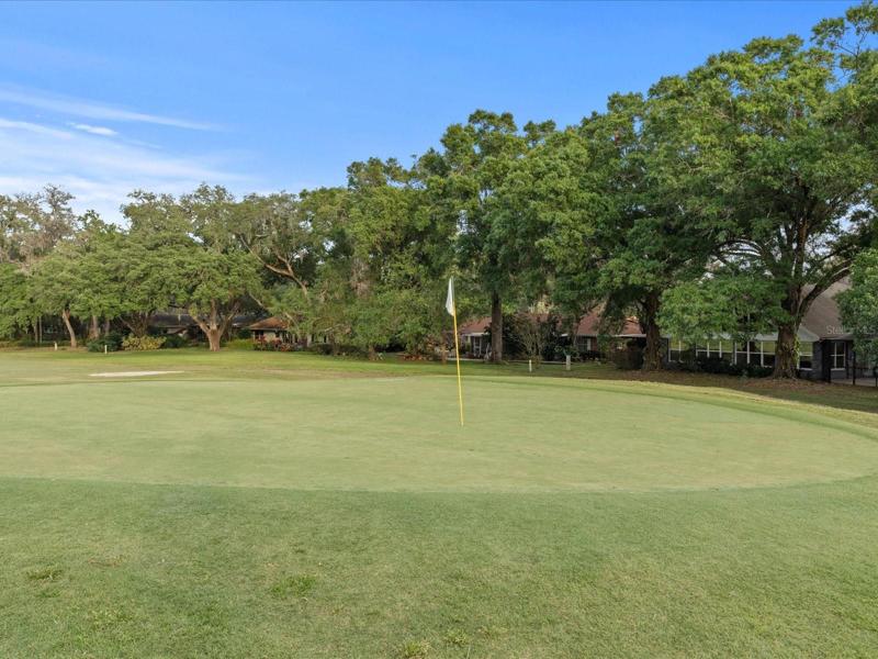 15th Green