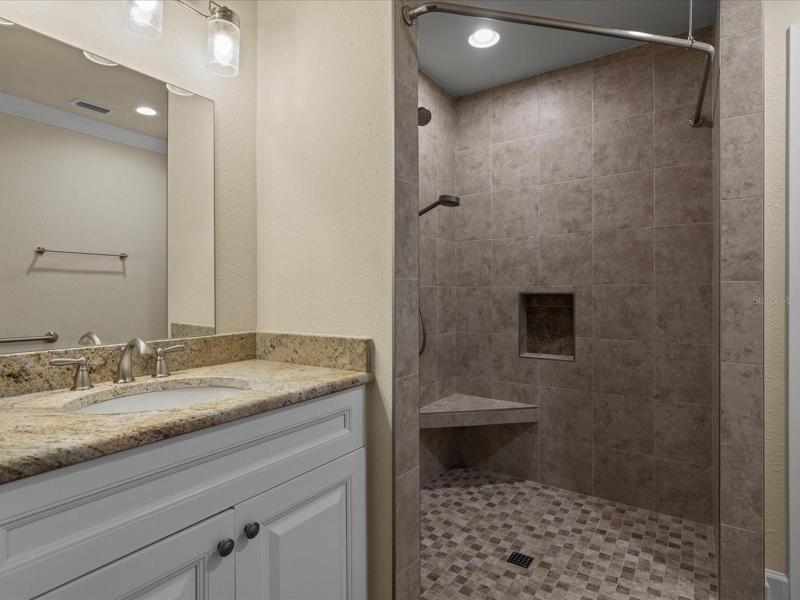 Master Bathroom 2 with No-Curb Accessible Shower
