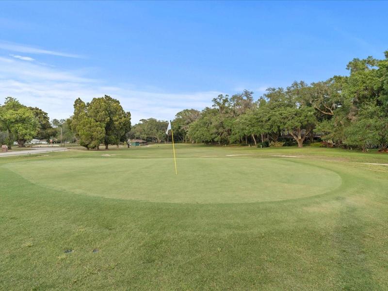 15th Green