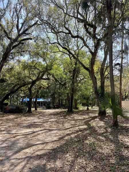 6 Armand Beach Drive Vacant Lot 75'X100"