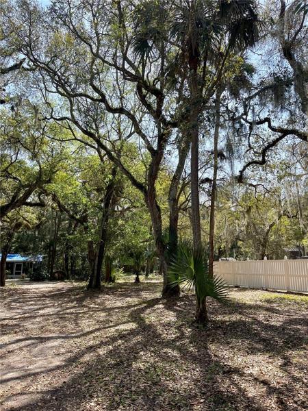 Imagine your beach home on this level flat lot...no flood insurance needed